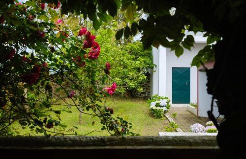 Achadinha House | Casa do Lenho