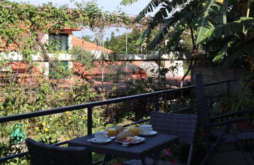 Ponta Delgada Apartment | Casa do Tio Albino II, By OP