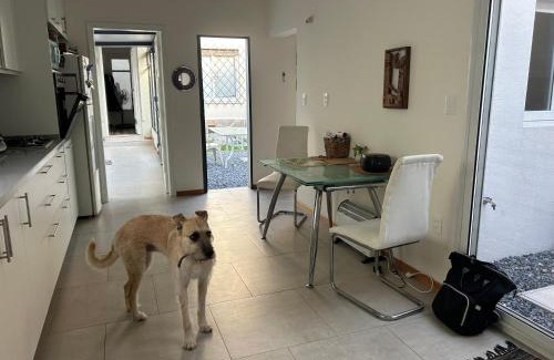 Montevideo House | Casa equipada en zona hermosa de Montevideo para disfrutar el verano en la ciudad, playa, carnaval y mucho más