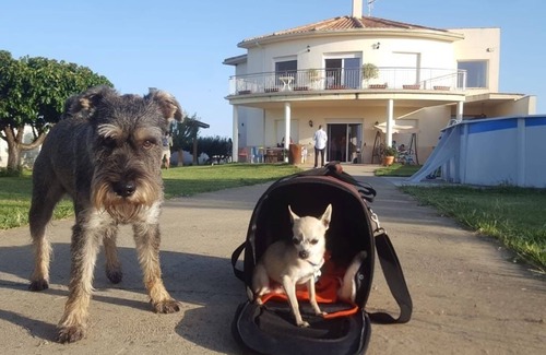 Villanueva de Las Manzanas Ski Chalet | Casa Miguel & Sally, 16 km Leon, 3 km Galicia-Barcelona highway, 31 people