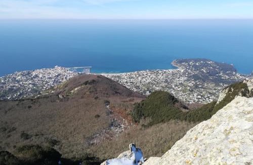 Casamicciola Terme Apartment | Casa Filomena