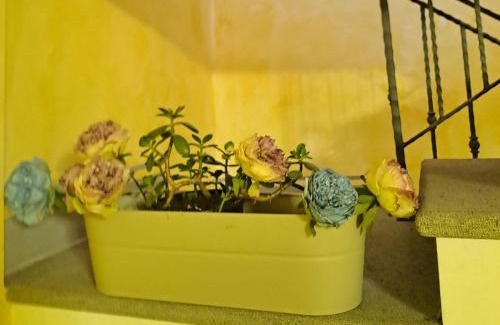San Michele in Teverina House | Casa Flora
