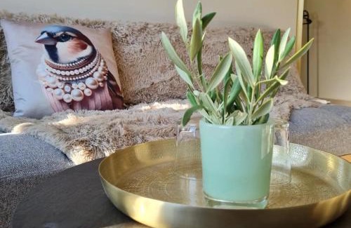 Andujar Bed & Breakfast | Casa La Jolla B&B