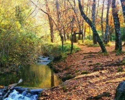 El Bosque House | Casa La Vega