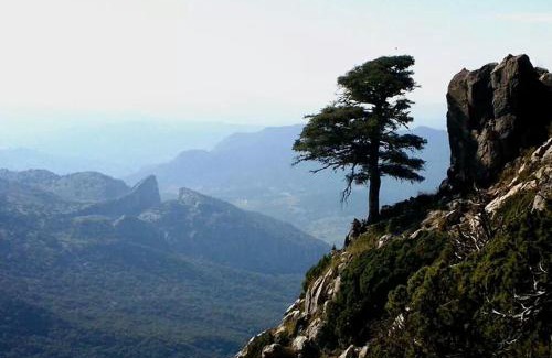 El Bosque House | Casa La Vega