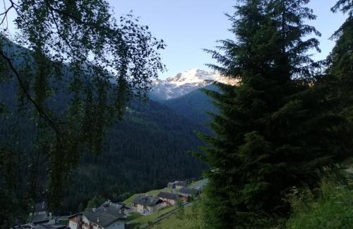 San Carlo Apartment | Casa Laura