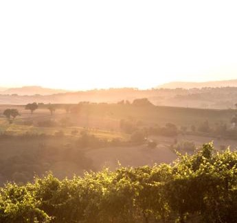 Barbara House | Casa Le Vaglie