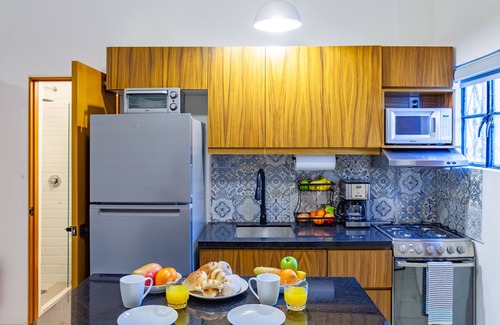 Colonia 5 de Diciembre Apartment | Casa Loro Azul PV Unit 2 NEW with Rooftop pool 1BD Studio for rent in 5 de Dicie