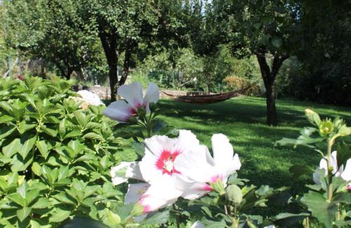 Bomerano Apartment | Casa Marilì