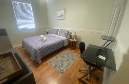 Tamiami House | Casa Miami 3