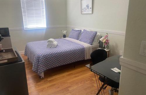 Tamiami House | Casa Miami 3