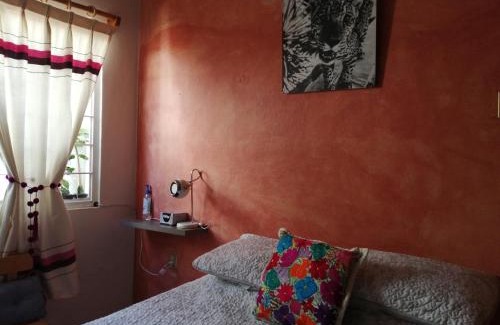 Ruta Independencia House | Casa Mixteca Santo Domingo Oaxaca