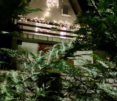 Lic Ski Chalet | CASA MONTE