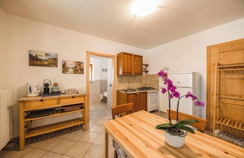 Castello-Molina di Fiemme Apartment | Casa Nicole Studio Apartment with Mountain View, Wi-Fi, and Garden