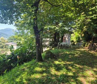 Lugano House | Casa Nogo