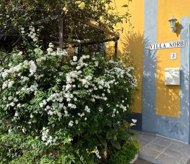 Teror Apartment | Casa Norb Teror