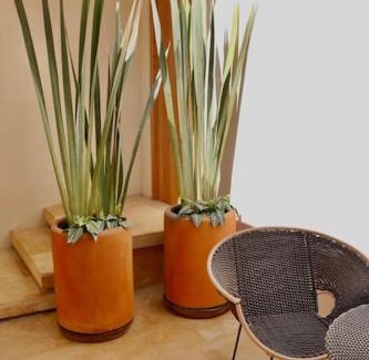 Centro Apartment | Casa Nova Centro Oaxaca - Adults Only
