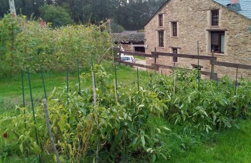 Foz Apartment | Casa o Furco