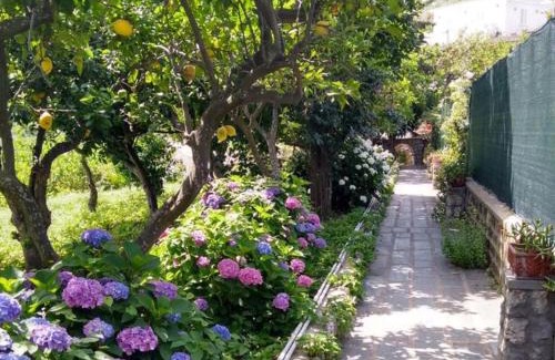 Marina Grande House | Casa Paolina - casa vacanze