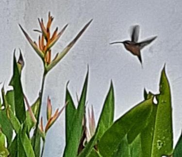 Carolina House | Casa para temporada - Chapada das Mesas