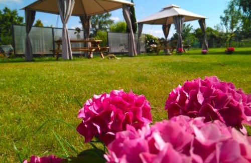 Granda (Siero) House | Casa Pepín - Sagasta Rural Oviedo