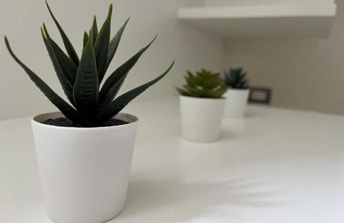 Pontone House | Casa Pont1