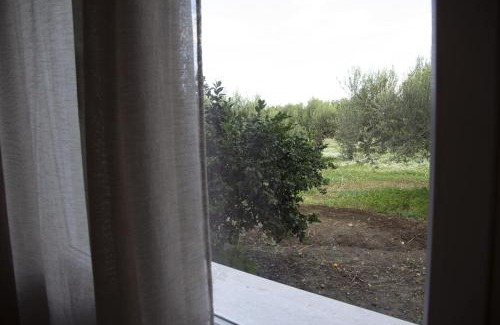 Paceco House | Casa Raineri