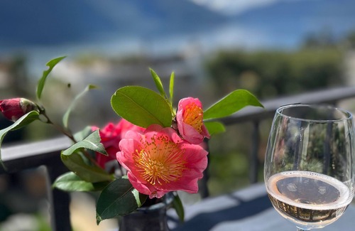 Ascona Apartment | Casa Rena - Attic flat