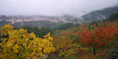 El Arenal House | CASA RURAL CASA CANDI