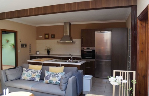 El Paso House | Casa Salamandra