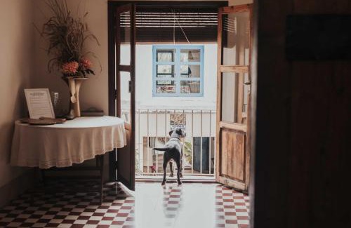 Salem House | Casa San Miguel