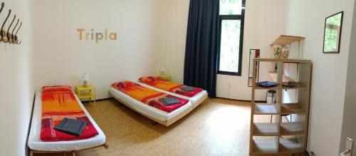 Sonogno House | Casa Sant'Angelo