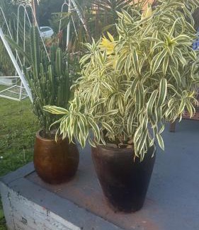 Victor Graeff House | Casa semana expodireto