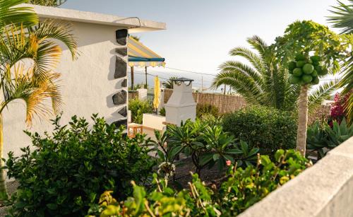 Los Llanos de Aridane House | Casa Simón