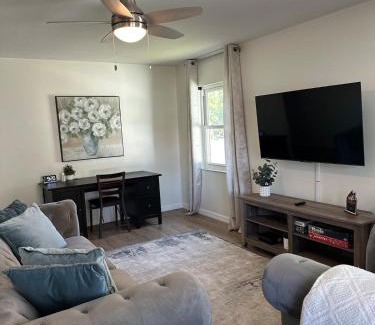 Port Tampa City House | CASA SOLÉ, South Tampa