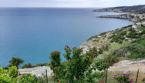 Peschici Apartment | Casa sul mare