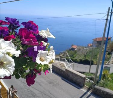 San Michele House | Casa Teranga