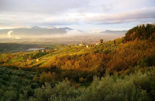 Petrognano House | Casa Teresina