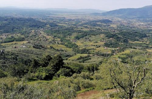 Petrognano House | Casa Teresina