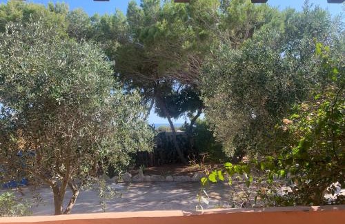 Lampedusa House | Casa "Terra Suspisa"