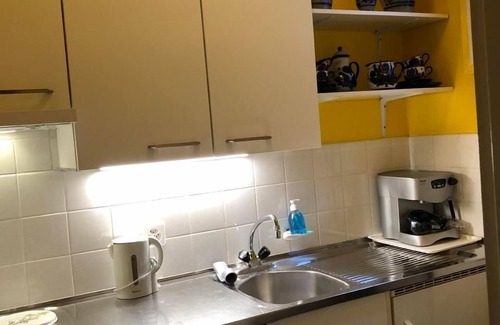 Brione sopra Minusio House | Casa Tintinnio