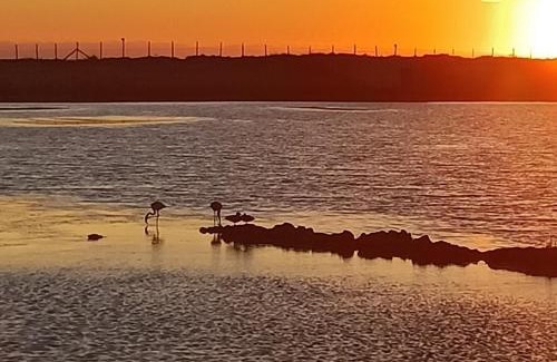 Lido di Tarquinia Apartment | Casa Vacanza Antico Porto Lilla