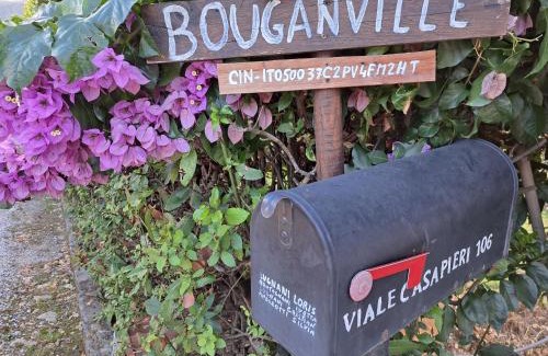 Avane Apartment | Casa Vacanze “Bouganville” loc Avane Pisa