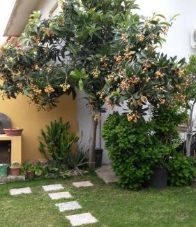 San Vito House | Casa vacanze Rose E Fiori Sardegna