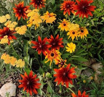 Gunnison Apartment | Casa Wildflower