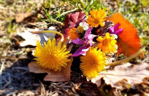 Pacentro Apartment | CasaLeaPacentro