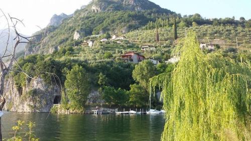 Marone House | Casatragliulivi