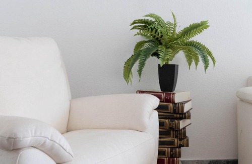 Alassio Apartment | Case da Amare - Alassio Centro