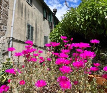 Montecatini Val di Cecina Apartment | Casina Orione