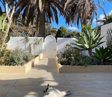 Bahia Calma Apartment | CASITA, Costa Calma, 2 SZ, Glasfaser Wifi, gute Lage, Strandnähe